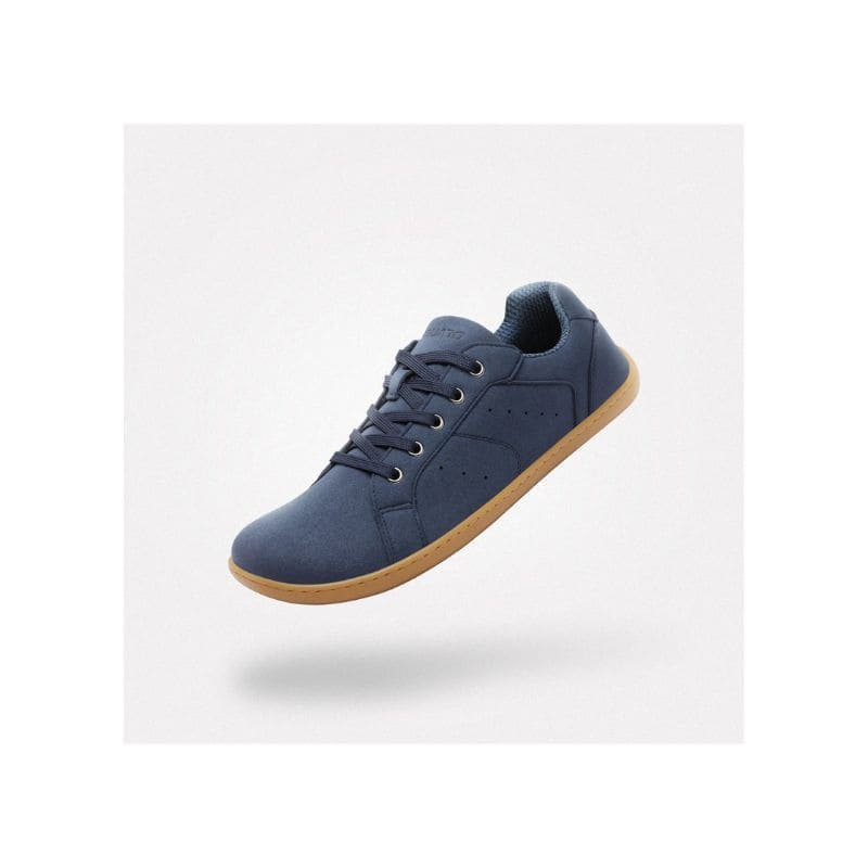 saguaro stellar i azul