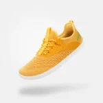 saguaro go i amarillo